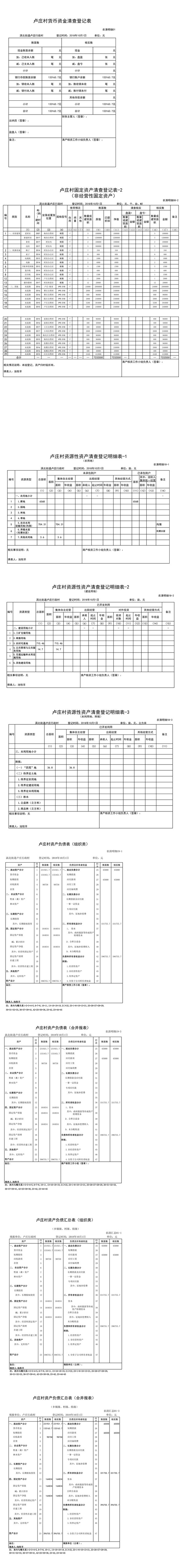 卢庄行政村清产核资报表（精简版）.png