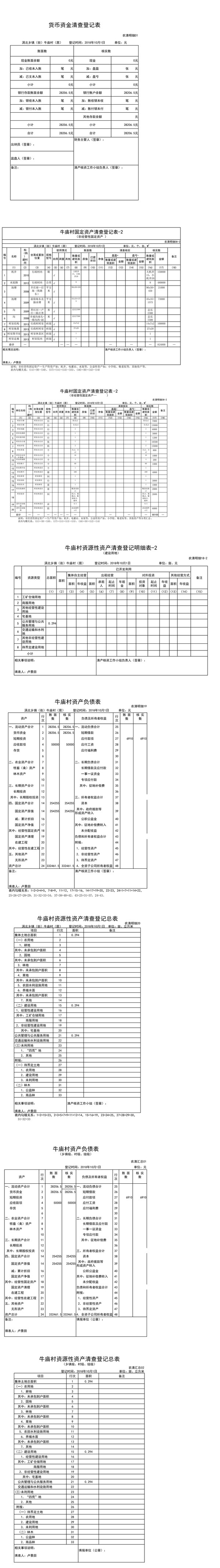牛庙村村级集体资产清产核资报表（精简版）.png