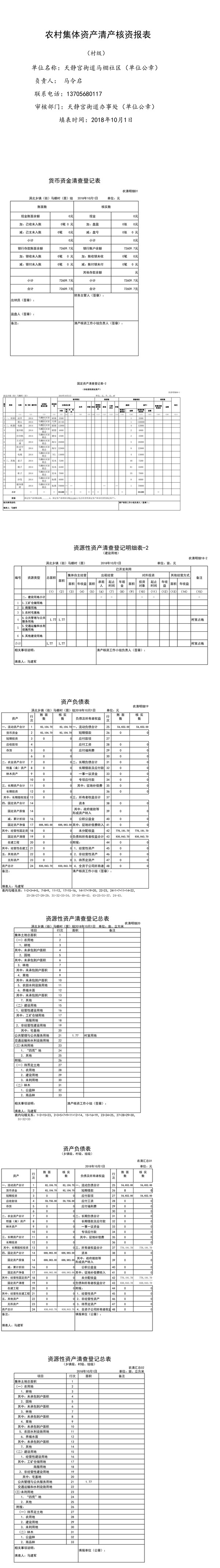 马棚社区村级集体资产核资报表（精简版）.png