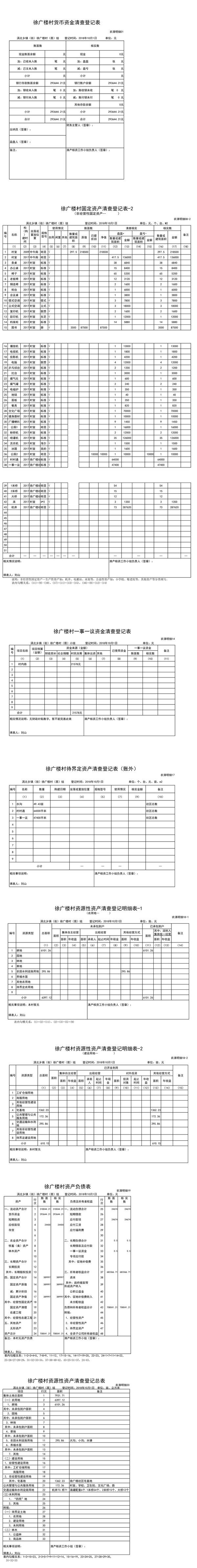 徐广楼社区-村本级农村集体资产清产核资报表（精简版）.png