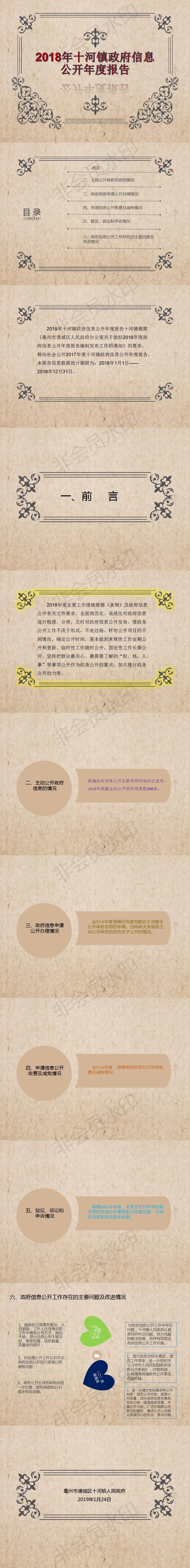 2018年十河镇政府信息公开年度报告.jpg