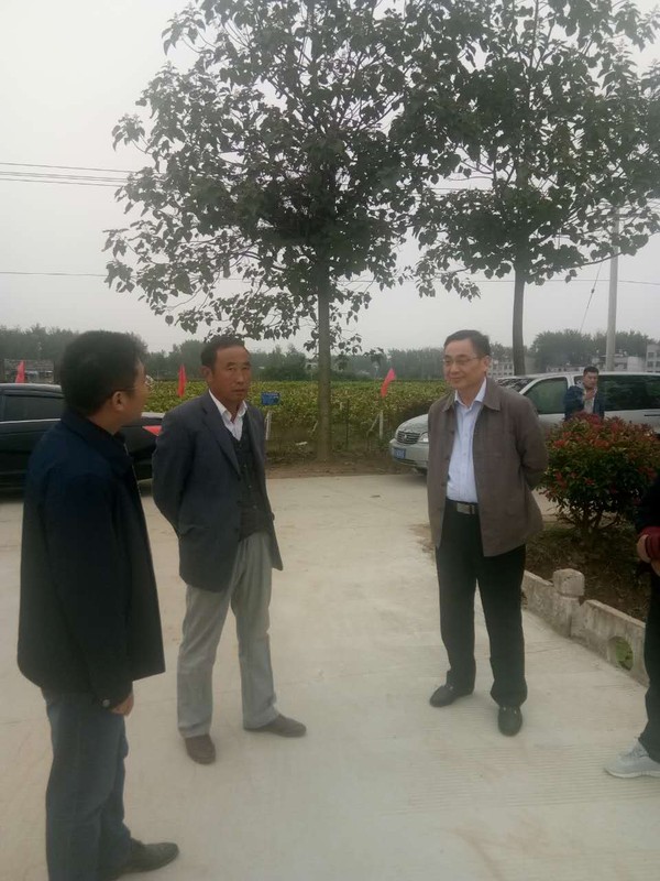 市招商局来我县调研项目-涡阳县人民政府政务公开
