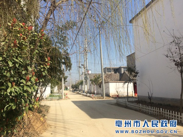 亳州"三大革命"为乡村"一键美颜-安徽_市场周刊杂志社官网
