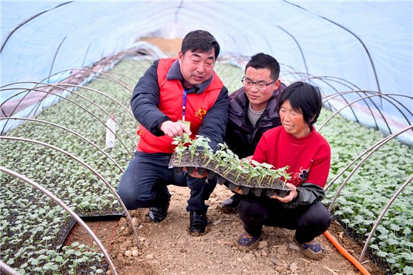 利辛早春送技到田头
