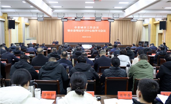 秦凤玉主持召开市委城市工作会议并专题调研低温雨雪冰冻天气防范应对工作